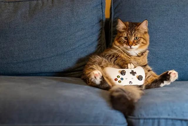 Cómo sacar el máximo provecho a los videojuegos online