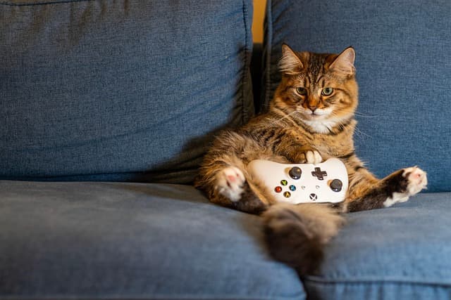 Cómo elegir la mejor plataforma de juegos online para ti
